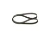 V-Ribbed Belt VAG - 038 903 137R - 6PK1138
