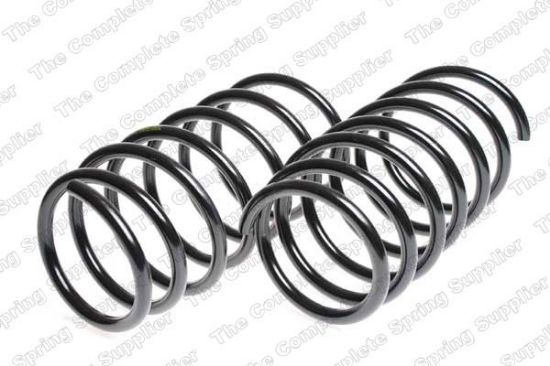 Suspension Set, springs madaldus Renault R 19