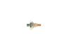 Oil Pressure Switch -