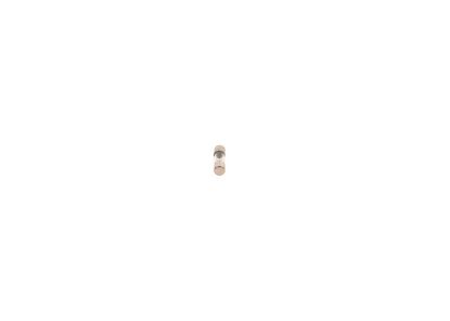 Fuse -