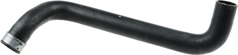 Radiator Hose -