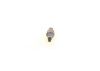 Spark Plug -