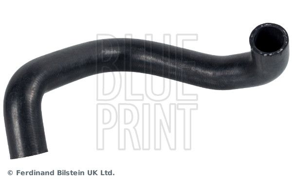 Radiator Hose -