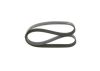 V-Ribbed Belt -