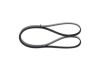 V-Ribbed Belt -