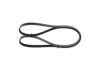 V-Ribbed Belt -