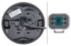 Tail Light Assembly -