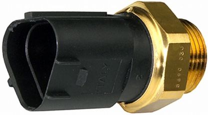 Temperature Switch, radiator fan -
