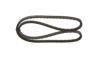 V-Belt 13X1300