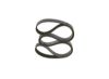 V-Ribbed Belt BMW - 11 28 1 735 190 - 6PK1560