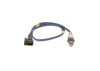 Oxygen Sensor -