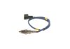 Oxygen Sensor -