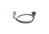 Oxygen Sensor -