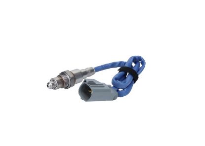 Oxygen Sensor -