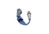 Oxygen Sensor -