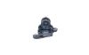 Mount, exhaust system -