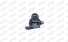 Mount, exhaust system -