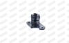 Mount, exhaust system -