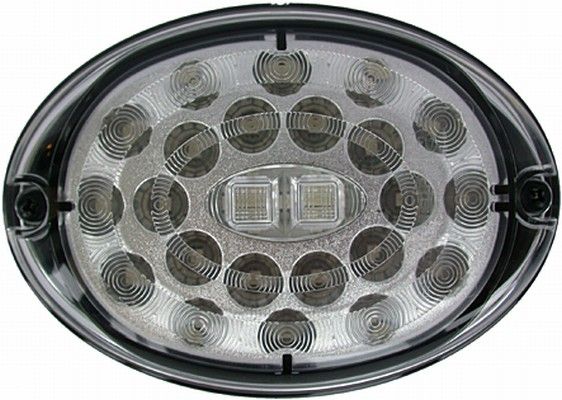 Tail Light Assembly -