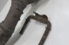 Mount, exhaust system -