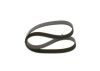 V-Ribbed Belt -