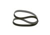 V-Ribbed Belt -