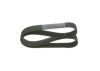 V-Ribbed Belt -