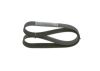 V-Ribbed Belt -