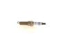 Spark Plug -