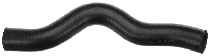 Radiator Hose -
