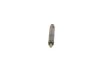 Nozzle and Holder Assembly -