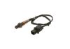 Oxygen Sensor -