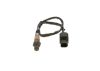 Oxygen Sensor -