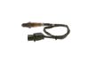 Oxygen Sensor -