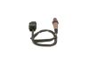 Oxygen Sensor -