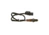 Oxygen Sensor -