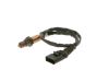 Oxygen Sensor -