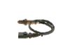 Oxygen Sensor -