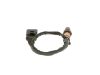 Oxygen Sensor -