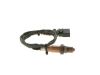 Oxygen Sensor -