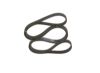 V-Ribbed Belt -