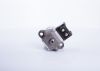Unit Injector (UI) -