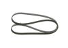 V-Ribbed Belt MINI - 11 28 8 511 919 - 5PK1398