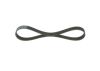 V-Ribbed Belt -