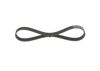 V-Ribbed Belt -