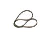 Timing Belt -