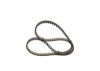 Timing Belt -