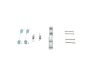 Accessory Kit, brake shoes -