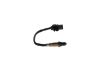 Oxygen Sensor -