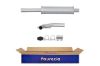 Centre Muffler -